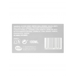 Vīriešu Eau de Parfum Borealia Shine versija