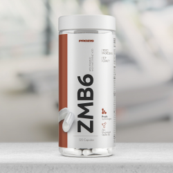 ZMB6 - cinks + magnijs + B6